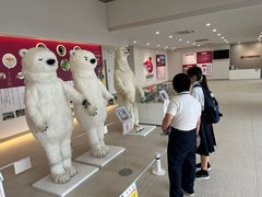 IMG_1287