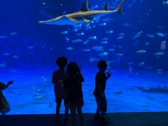 IMG_3969