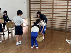 IMG_6250