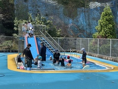 IMG_6486