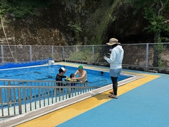 IMG_6510