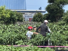 IMG_6654